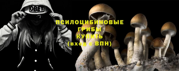 PSILOCYBIN Красноперекопск