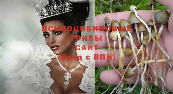 PSILOCYBIN Красноперекопск