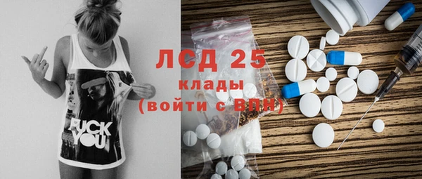 спайс Кулебаки