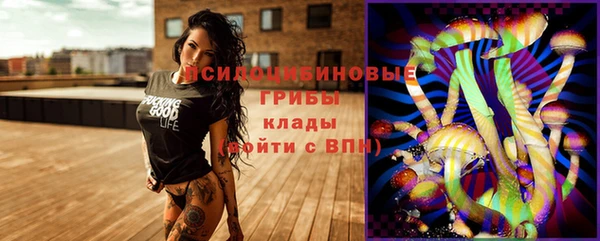 PSILOCYBIN Красноперекопск