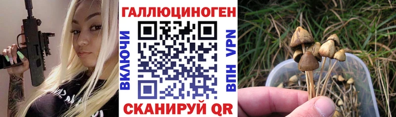 Купить закладки  Пугачёв  Псилоцибиновые грибы прущие грибы 